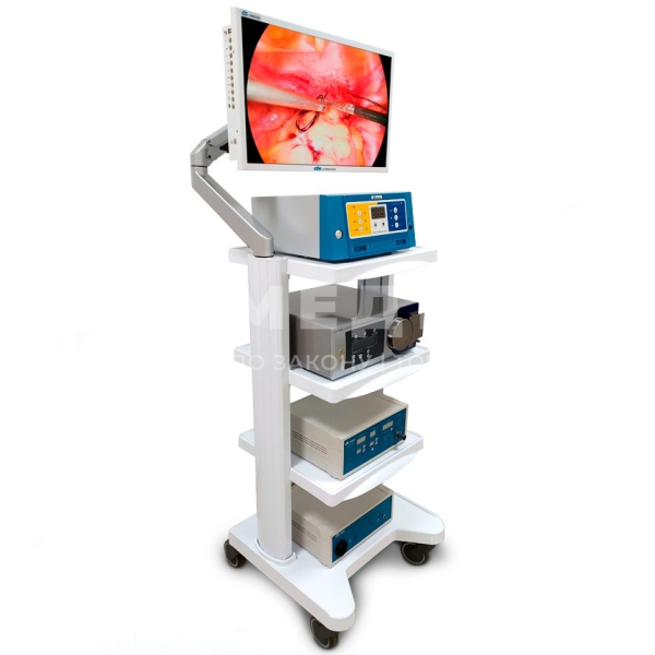 Эндоскопическая видеосистема DS.Vision FHD 3 in 1 24" medcub