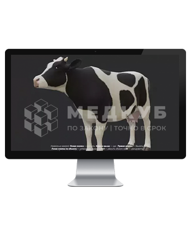 Интерактивный ветеринарный 3D атлас (учебное пособие) medcub