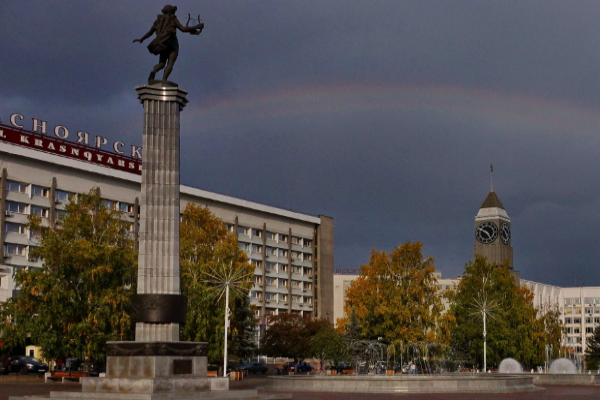 Аппарат электростатического массажа МАДИН Элгос для реабилитации на дому (г. Красноярск)