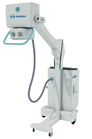 Без названия (1).png