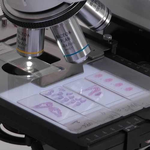 Стандарт оснащения отделения судебно-гистологической экспертизы medcub