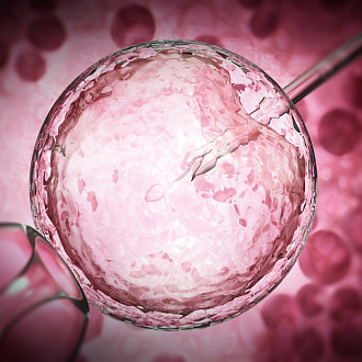 Приказ 803н «О порядке использования вспомогательных репродуктивных технологий» medcub