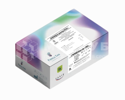 Экспресс-тест (биомаркер) РАПИД-Прокальцитонин-ИХА для диагностики прокальцитонина medcub